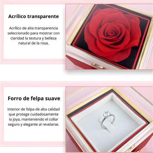 Rosa eterna con collar