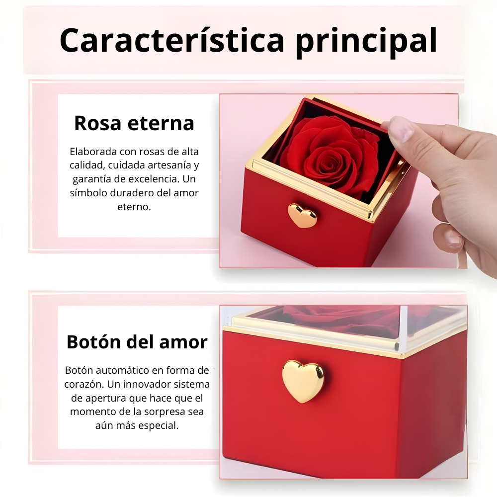 Rosa eterna con collar